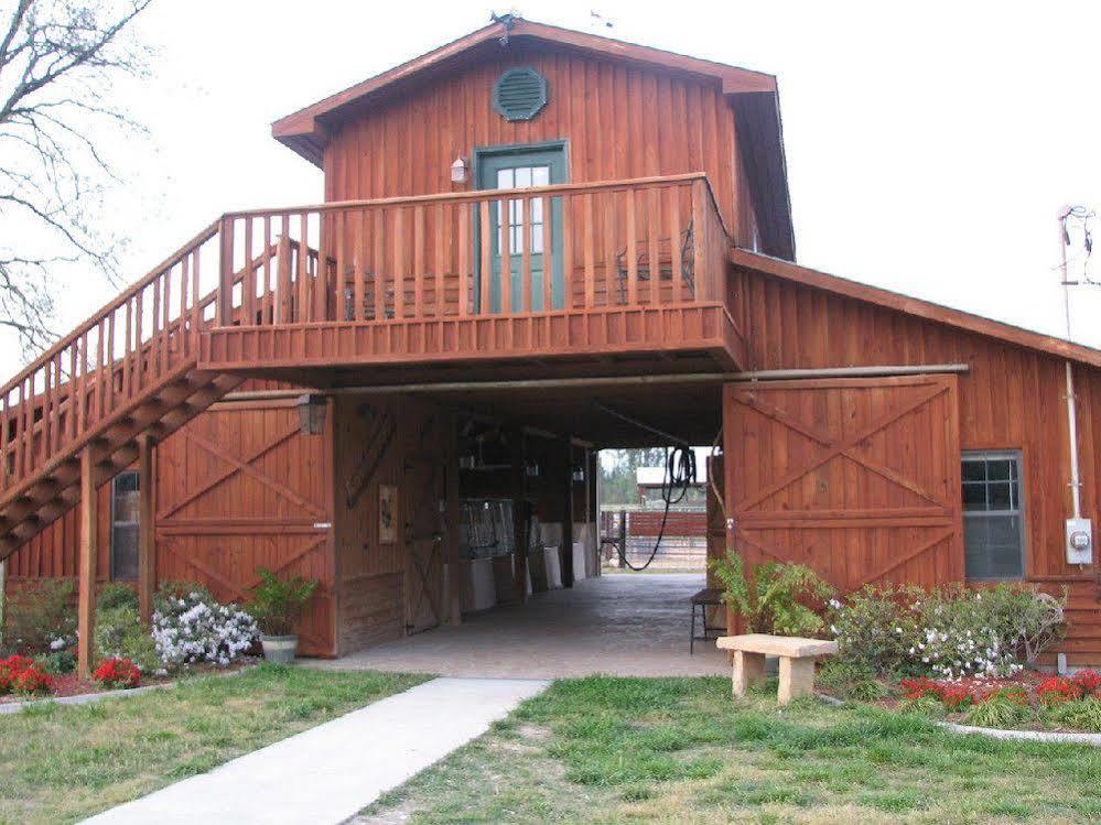 Red Fern Plantation Lodge